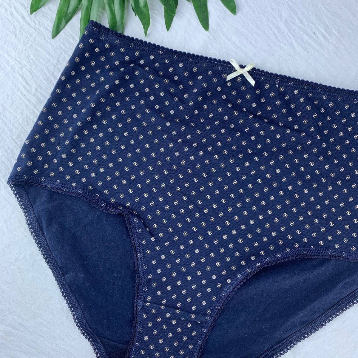 Cotton panty from splash - Image 2