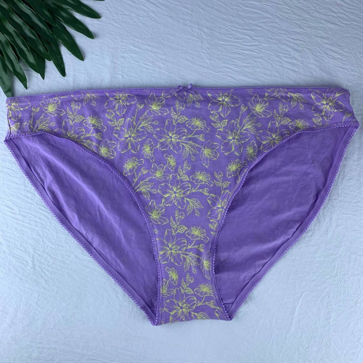 Cotton panty from splash - Image 1