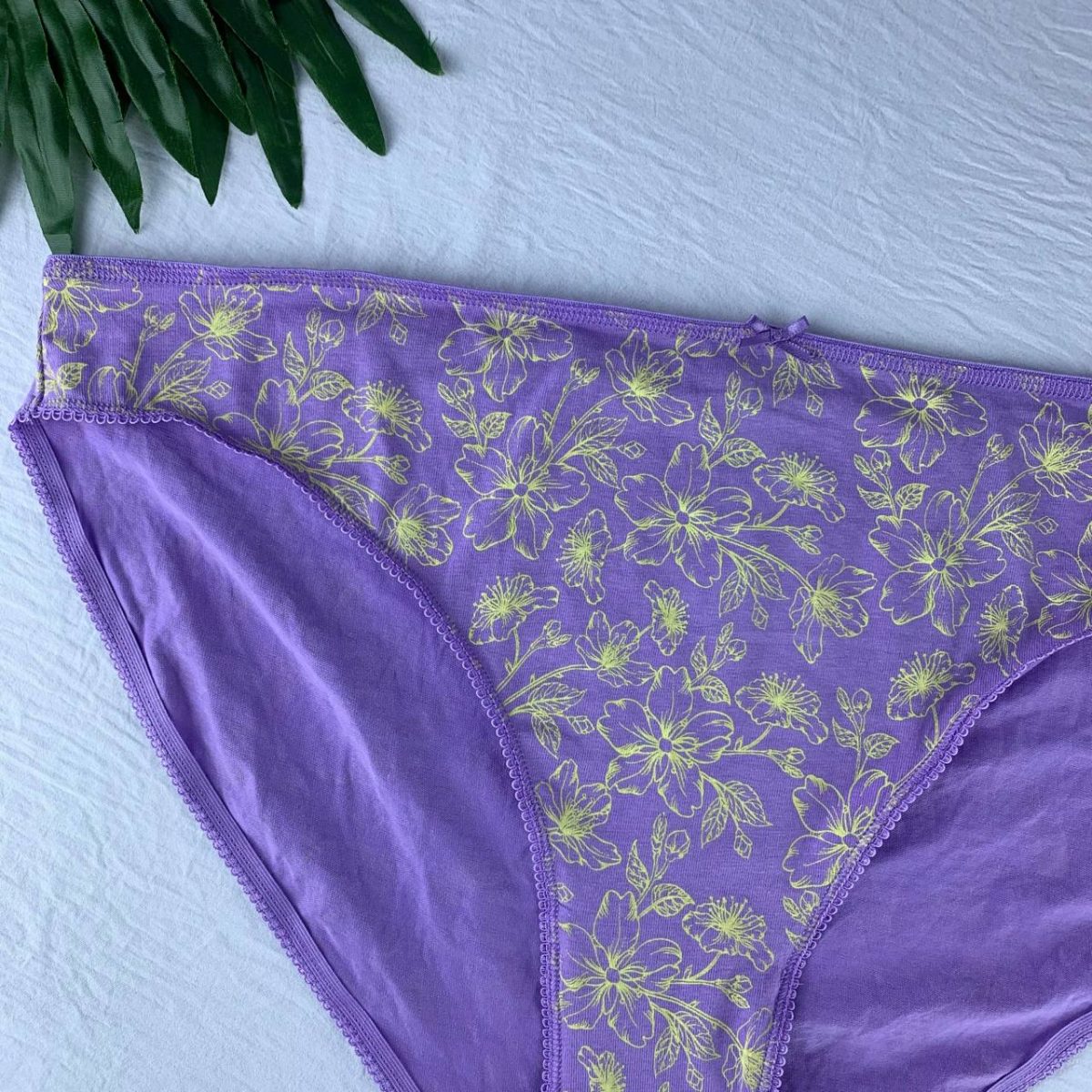 Cotton panty from splash - Image 4