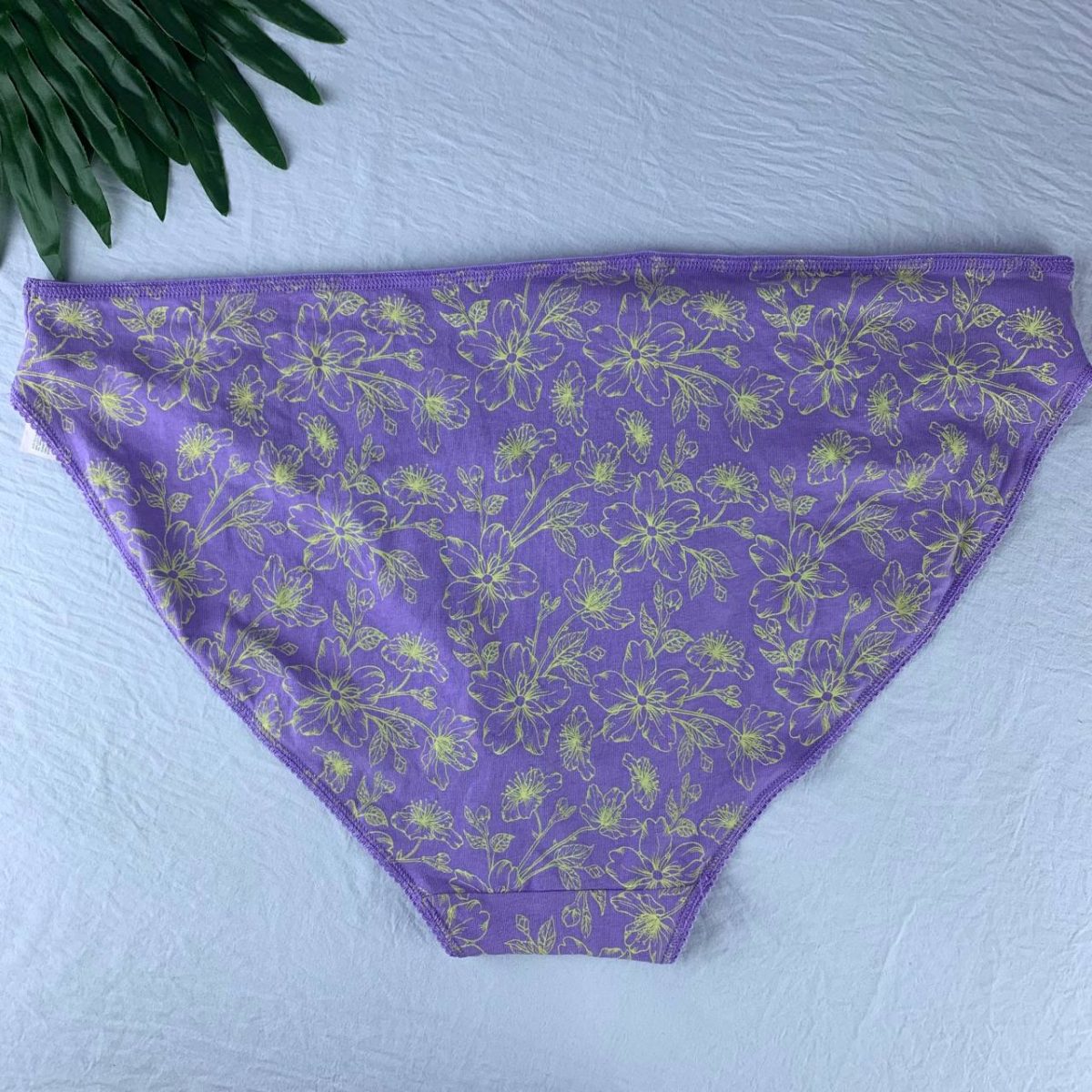 Cotton panty from splash - Image 2