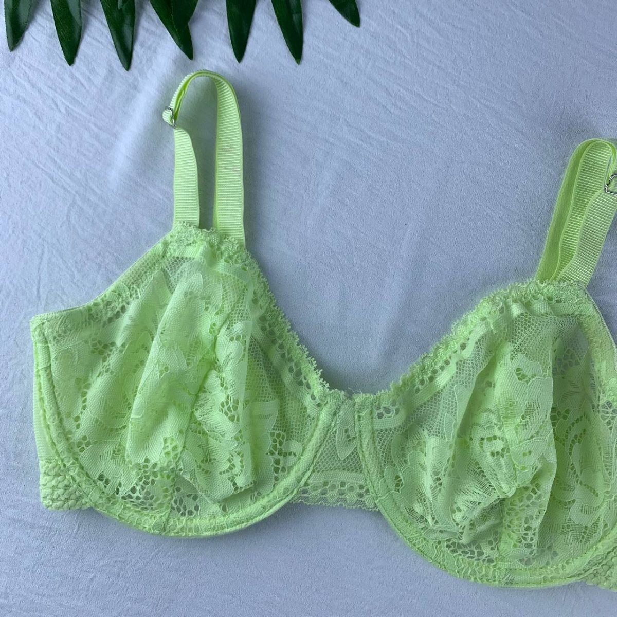 Wired lace lingerie bra from Primark- 32DD - Image 4