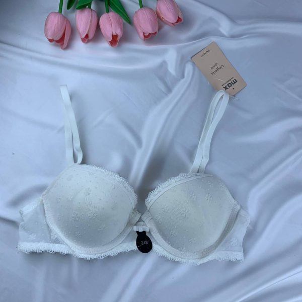 Max Wired Padded Textured Mesh Demi Bra